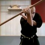 TSDO-JamesNorris-short-staff-weapon 900p
